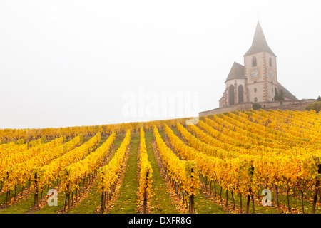 Rangées de vignes menant à une église, Hunawihr, Alsace, France Banque D'Images