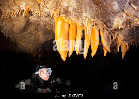 Plongée sous marine et des stalactites dans la grotte de Jabuka, Kolocep, Dubrovnik, en mer Adriatique, Croatie Banque D'Images