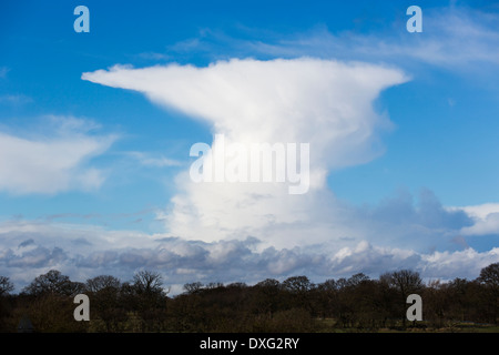 Un nuage au-dessus de l'enclume du cumulonimbus ou Birmingham, UK Banque D'Images