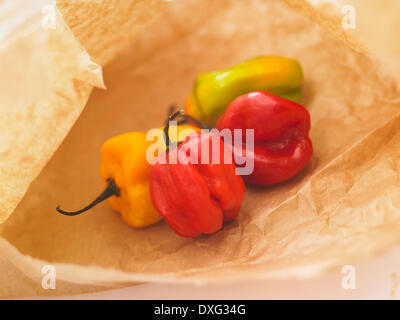 Piments Scotch Bonnet en sac de papier Banque D'Images