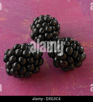 Close Up of Blackberries sur fond de couleur Banque D'Images