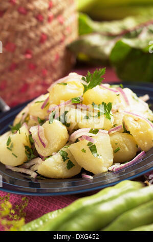 Assiette de Salade de pommes de terre avec le persil et l'oignon rouge Banque D'Images