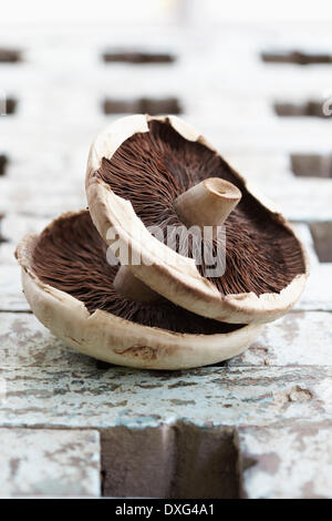 Dessous de deux champignons sauvages sur la surface en bois Banque D'Images