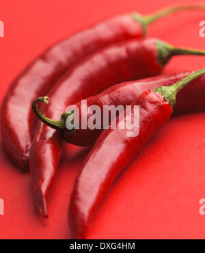 Piment rouge sur fond rouge Banque D'Images