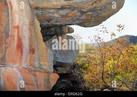 Les Tsodilo Hills au Botswana sont célèbres pour les peintures rupestres San Bushman ou trouvés ici. Ici, c'est une peinture d'une girafe. Banque D'Images