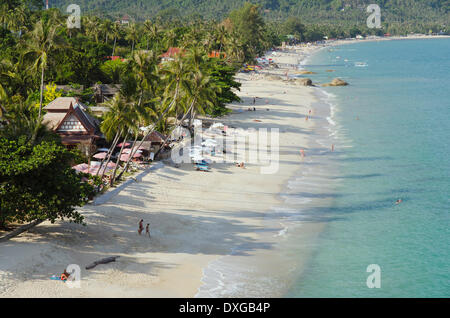 Plage avec des palmiers, Lamai Beach, Ko Samui, Thaïlande Banque D'Images
