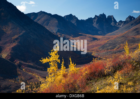 Monts Tombstone et le Grizzly Creek supérieure à l'automne, le parc territorial Tombstone, Yukon, Canada Banque D'Images