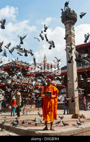 Le moine bouddhiste avec une mendicité debout devant des temples hindous, de nombreux pigeons voler haut, pagode, place devant l'Hanuman Banque D'Images