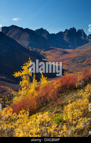 Monts Tombstone et le Grizzly Creek supérieure à l'automne, le parc territorial Tombstone, Yukon, Canada Banque D'Images