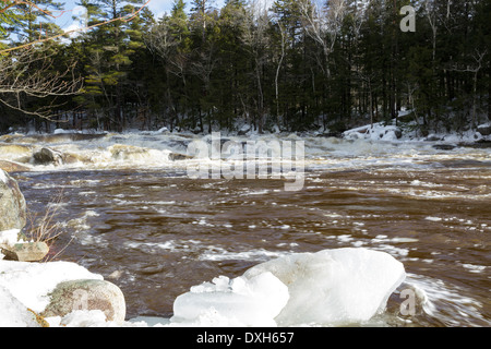 Lower Falls de la Swift River dans les Montagnes Blanches du New Hampshire, USA après de fortes pluies pendant les mois d'hiver. Banque D'Images