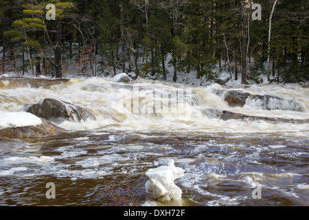 Lower Falls de la Swift River dans les Montagnes Blanches du New Hampshire, USA après de fortes pluies pendant les mois d'hiver. Banque D'Images