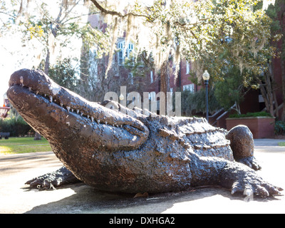 Statue d'Alligator, UF Mascot, Université de Floride, Gainesville, FL, USA Banque D'Images