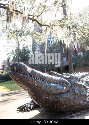 Statue d'Alligator, UF Mascot, Université de Floride, Gainesville, FL, USA Banque D'Images