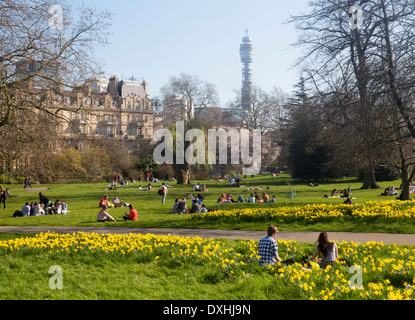 Le Regent's Park au printemps de jonquilles et jeune couple dans la vingtaine assis en premier plan BT Tower à Londres Angleterre Royaume-uni distance Banque D'Images