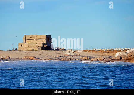 Watch Tower sur l'île Bird, Lambert's Bay, Western Cape, Afrique du Sud, Banque D'Images