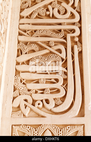 Détail de plâtre sculpté mauresque complexes en stuc sur les murs du palais Nasrides, le Palais de l'Alhambra, Grenade, Espagne Banque D'Images