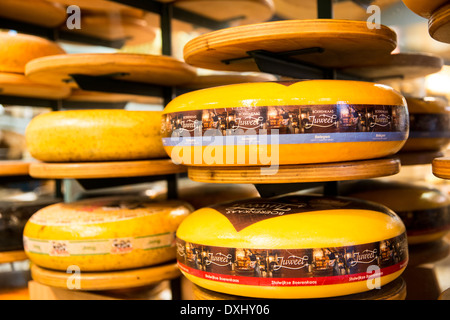 Séries de fromage sur afficher dans une fromagerie à Amsterdam Banque D'Images