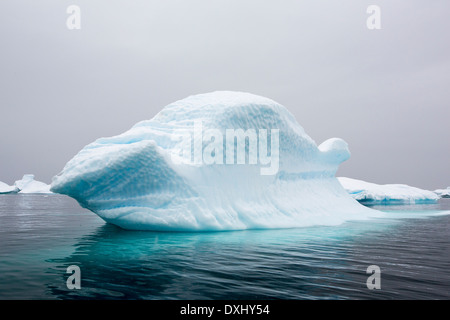 Les icebergs aasp Curverville île sur la péninsule antarctique, qui est un des plus rapides des lieux réchauffement de la planète. Banque D'Images