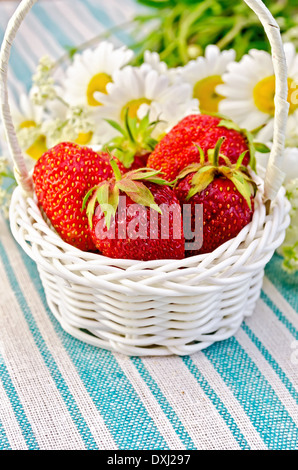 Fruits rouges fraises dans un panier en osier blanc, un bouquet de camomille sur un fond de serviette à rayures vert Banque D'Images