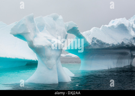 Les icebergs aasp Curverville île sur la péninsule antarctique, qui est un des plus rapides des lieux réchauffement de la planète. Banque D'Images