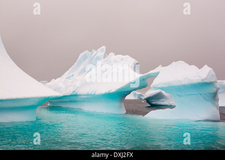 Les icebergs aasp Curverville île sur la péninsule antarctique, qui est un des plus rapides des lieux réchauffement de la planète. Banque D'Images