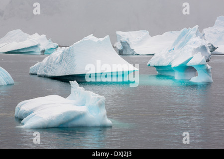 Les icebergs aasp Curverville île sur la péninsule antarctique, qui est un des plus rapides des lieux réchauffement de la planète. Banque D'Images