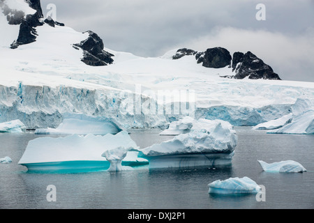 Les icebergs aasp Curverville île sur la péninsule antarctique, qui est un des plus rapides des lieux réchauffement de la planète. Banque D'Images