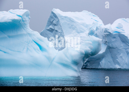 Les icebergs aasp Curverville île sur la péninsule antarctique, qui est un des plus rapides des lieux réchauffement de la planète. Banque D'Images