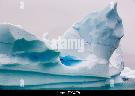 Les icebergs aasp Curverville île sur la péninsule antarctique, qui est un des plus rapides des lieux réchauffement de la planète. Banque D'Images