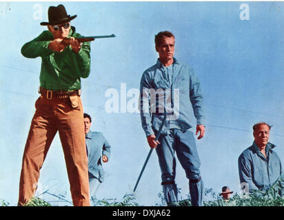 COOL HAND LUKE Banque D'Images