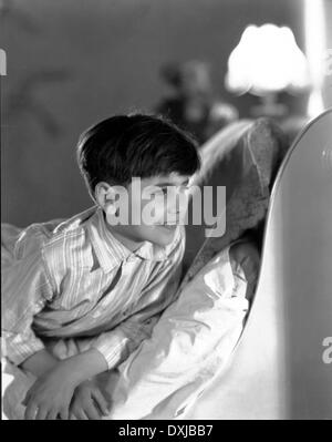 ROSES ROUGES FONCÉ Banque D'Images