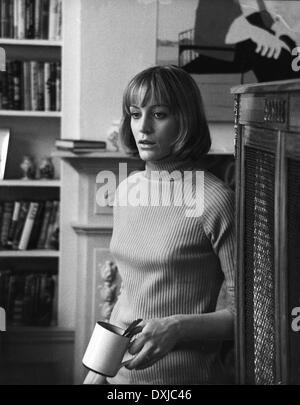 Journal d'une ménagère folle Banque D'Images