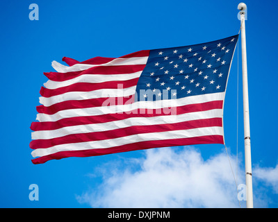 Les Stars and Stripes voletant dans le port de Boston, Mass, USA 3 Banque D'Images