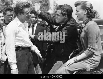 REBEL WITHOUT A CAUSE Banque D'Images