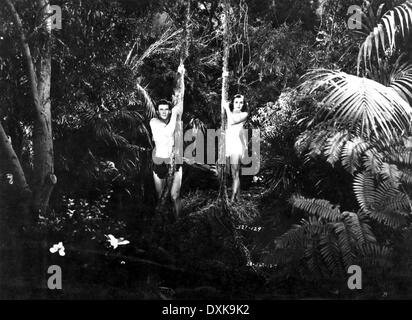 TARZAN'S REVENGE Banque D'Images