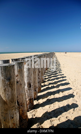 Épis sur la plage au Cap Ferret, Aquitaine Sud Ouest France Banque D'Images