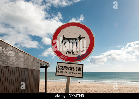 Chiens acceptés sur beach sign, Praia de Luz, Portugal Banque D'Images