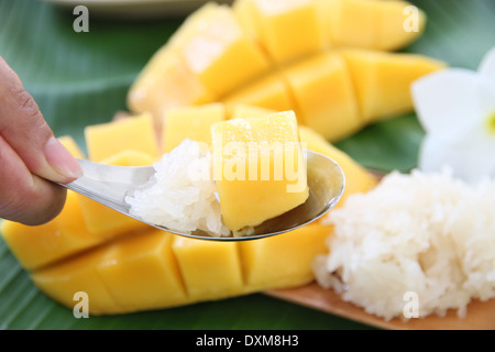 Mangue mûre et de riz collant dans spoon,local aliments thaïlandais. Banque D'Images