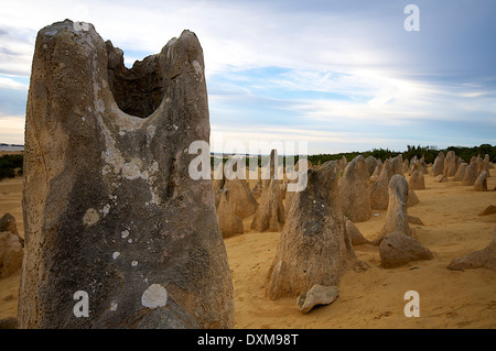 Close up de Pinnacle dans le Désert des Pinnacles Banque D'Images