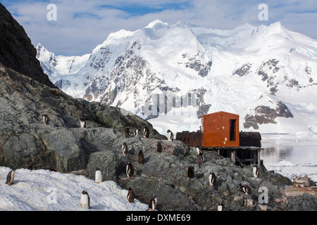 Manchots de l'Antarctique de l'Argentine à la station de recherche de paysages côtiers spectaculaires sous le mont Walker Banque D'Images