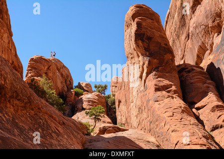 Devils Garden Trail, Arches National Park, Utah. Banque D'Images