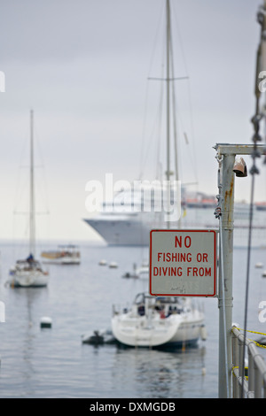 Pas de rien ! Avalon, Catalina Island, Californie. Banque D'Images