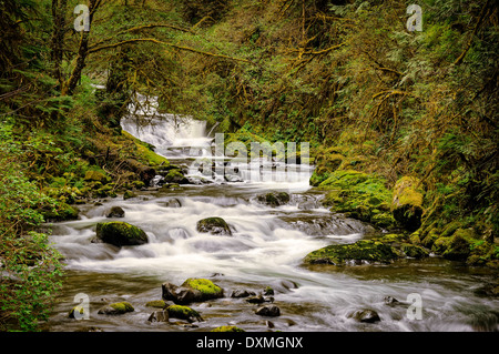 Cascades sur Sweet Creek ; Forêt nationale de Siuslaw, montagnes de la chaîne côtière, de l'Oregon. Banque D'Images