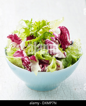 Mélanger les feuilles de salade fraîche dans un bol bleu Banque D'Images