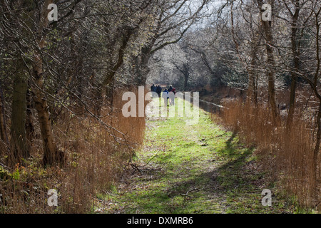 Dykeside à pied. Les marcheurs de loisirs. Broadland ; mars. Hickling. Le Norfolk. L'East Anglia. Banque D'Images