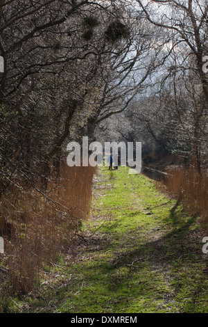 Dykeside à pied. Les marcheurs de loisirs. Mars. Broadland. Hickling. Le Norfolk. L'East Anglia. Banque D'Images