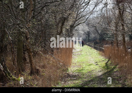 Dykeside à pied. Les marcheurs de loisirs. Broadland ; mars. Hickling. Le Norfolk. L'East Anglia. Banque D'Images