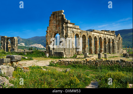 L'extérieur de la basilique au site archéologique de Volubilis, près de Meknes, Maroc Banque D'Images