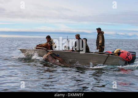 Les chasseurs de morses, Cap-d'Achen, Tchoukotka, Russie Banque D'Images