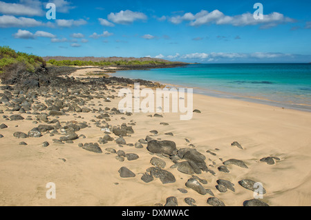 Dragon Hill, l'île de Santa Cruz, Galapagos, Equateur, Site du patrimoine mondial de l'UNESCO Banque D'Images